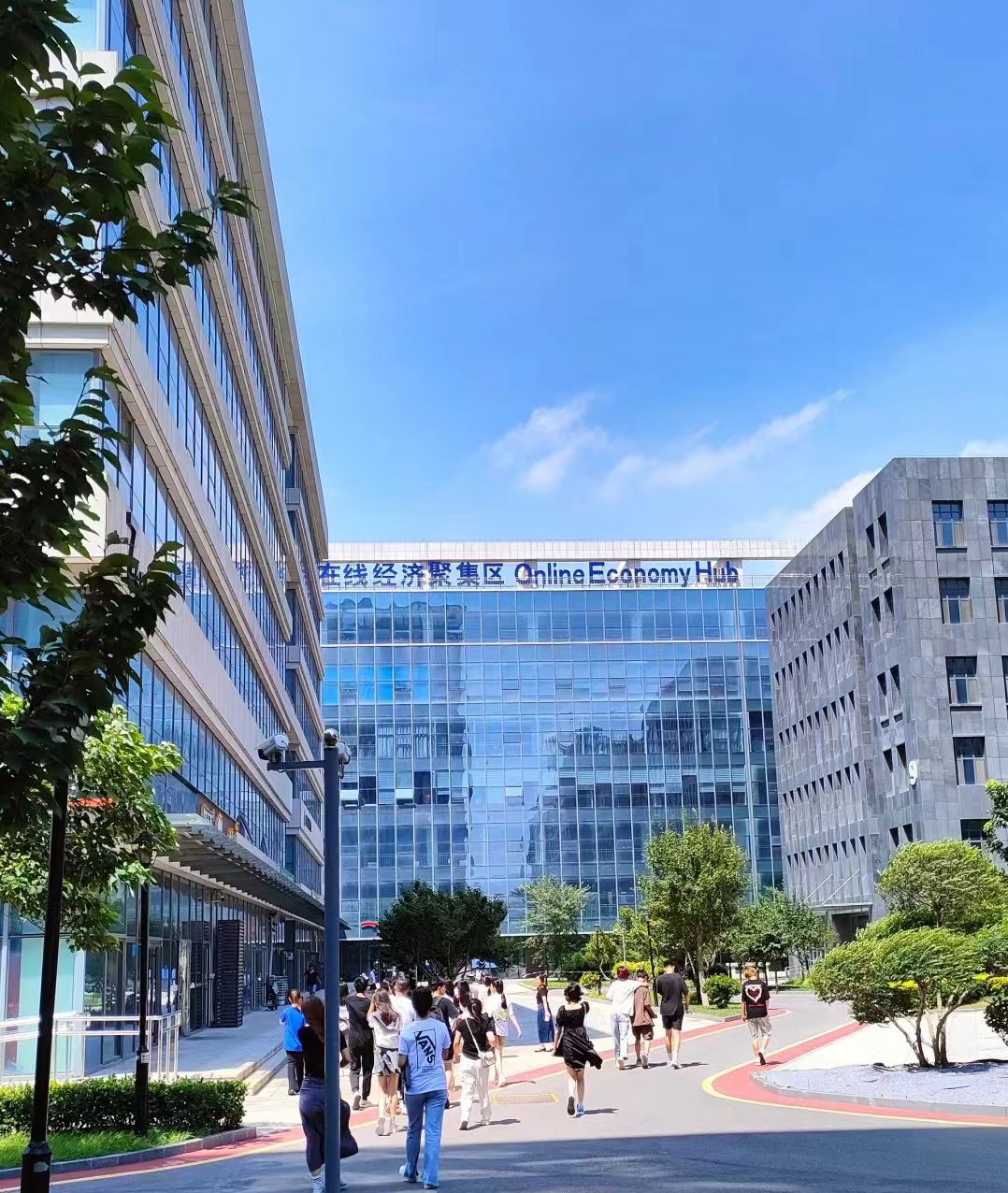 图片展示